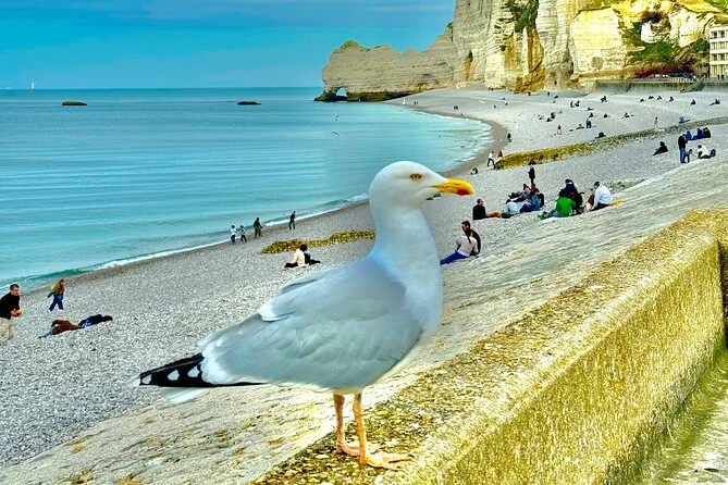 Gita privata a Rouen, Étretat e Deauville